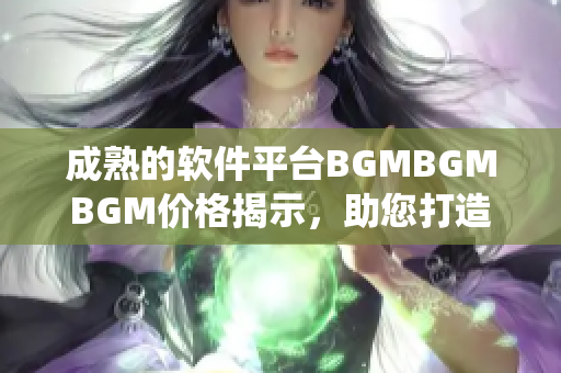 成熟的软件平台BGMBGMBGM价格揭示，助您打造高效业务管理系统