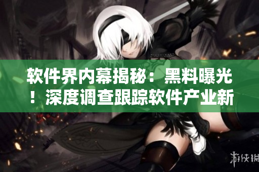 软件界内幕揭秘：黑料曝光！深度调查跟踪软件产业新变革