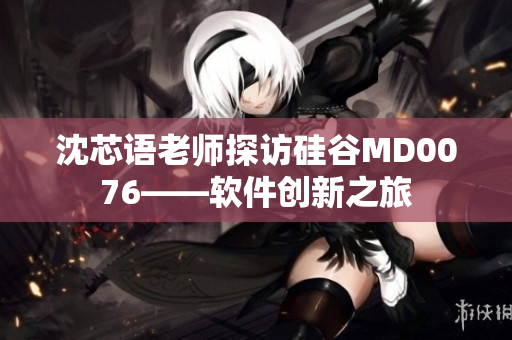 沈芯语老师探访硅谷MD0076——软件创新之旅