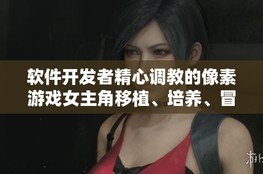 软件开发者精心调教的像素游戏女主角移植、培养、冒险