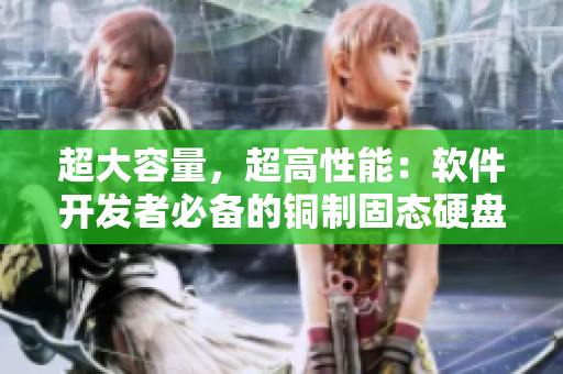 超大容量,超高性能:软件开发者必备的铜制固态硬盘解决方案 超大容量,超高性能:软件开发者必备的铜制固态硬盘解决方案
