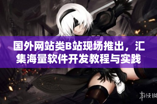 国外网站类B站现场推出,汇集海量软件开发教程与实践经验! 国外网站类B站现场推出,汇集海量软件开发教程与实践经验!