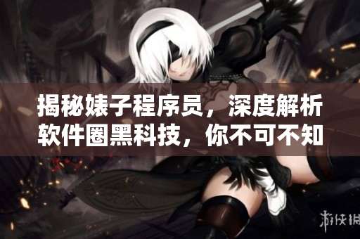 揭秘婊子程序员,深度解析软件圈黑科技,你不可不知! 揭秘婊子程序员,深度解析软件圈黑科技,你不可不知!
