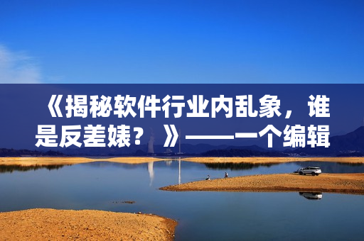 《揭秘软件行业内乱象,谁是反差婊? 》——一个编辑的探索之旅 《揭秘软件行业内乱象,谁是反差婊? 》——一个编辑的探索之旅