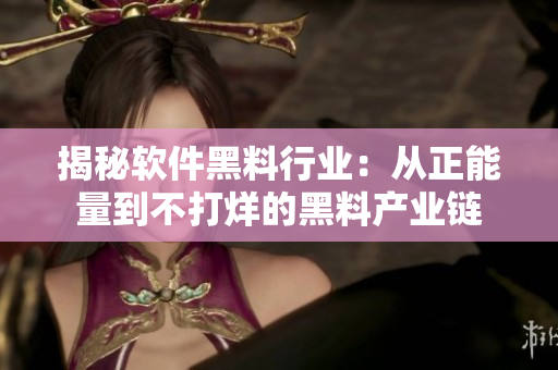 揭秘软件黑料行业:从正能量到不打烊的黑料产业链 揭秘软件黑料行业:从正能量到不打烊的黑料产业链