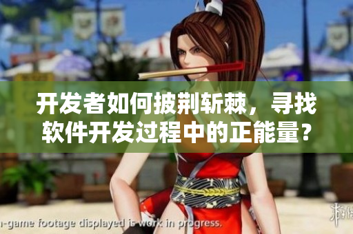 开发者如何披荆斩棘,寻找软件开发过程中的正能量? 开发者如何披荆斩棘,寻找软件开发过程中的正能量?