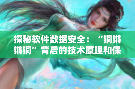 探秘软件数据安全：“铜锵锵铜”背后的技术原理和保障策略