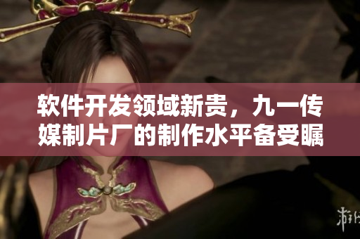 软件开发领域新贵，九一传媒制片厂的制作水平备受瞩目