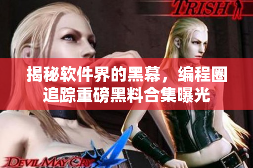 揭秘软件界的黑幕,编程圈追踪重磅黑料合集曝光 揭秘软件界的黑幕,编程圈追踪重磅黑料合集曝光