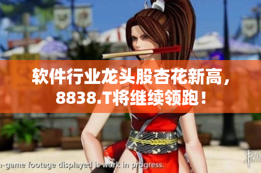 软件行业龙头股杏花新高，8838.T将继续领跑！