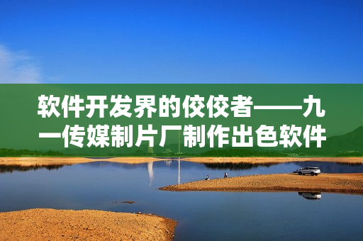 软件开发界的佼佼者——九一传媒制片厂制作出色软件产品 软件开发界的佼佼者——九一传媒制片厂制作出色软件产品