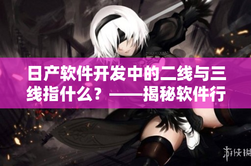 日产软件开发中的二线与三线指什么？——揭秘软件行业术语