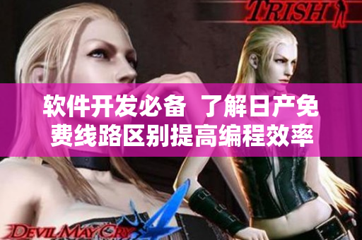 软件开发必备  了解日产免费线路区别提高编程效率