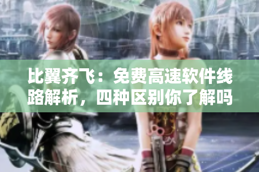 比翼齐飞：免费高速软件线路解析，四种区别你了解吗？