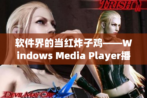 软件界的当红炸子鸡——Windows Media Player播放量破亿！