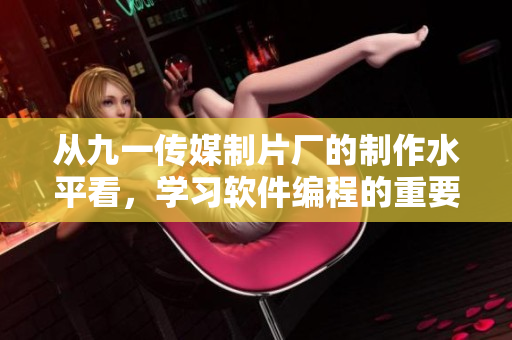 从九一传媒制片厂的制作水平看，学习软件编程的重要性是什么？