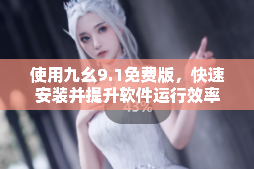 使用九幺9.1免费版，快速安装并提升软件运行效率